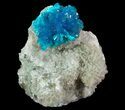 Vibrant Blue Cavansite Cluster on Stilbite - India #64795-1